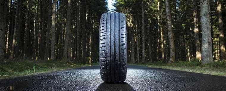 tyre on wet road in woods